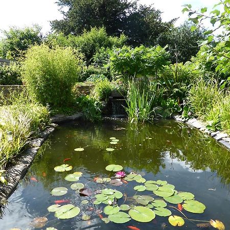 Liongate House Bed & Breakfast Ilchester Bagian luar foto