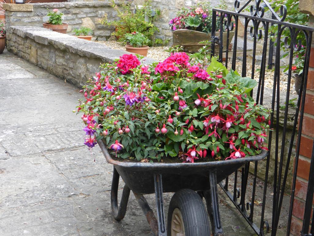 Liongate House Bed & Breakfast Ilchester Bagian luar foto